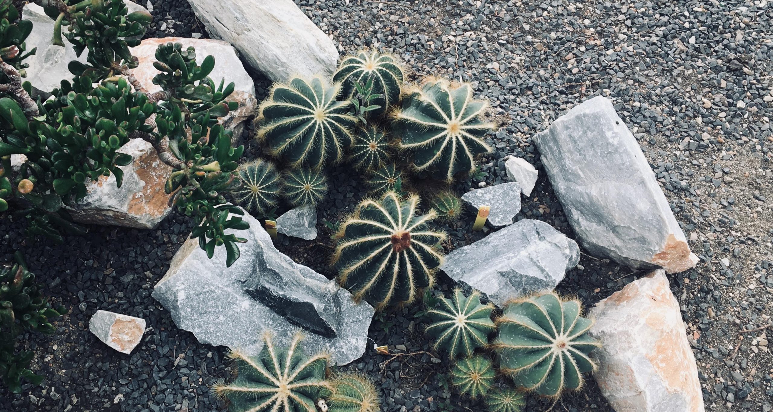 Pierre Fabre Botanical Conservatory